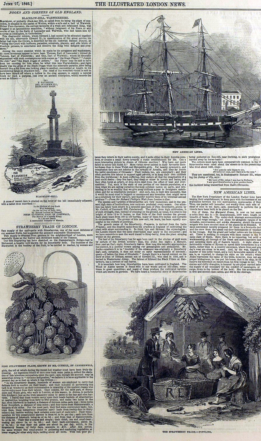 strawberry trade